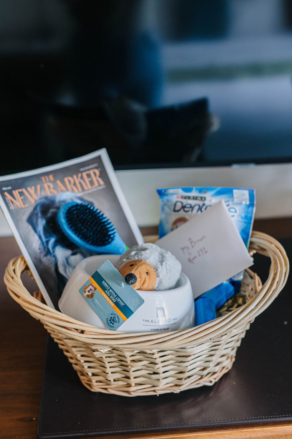 The Alfond Inn Dog Friendly Hotel Winter Park, Florida Sparkles and