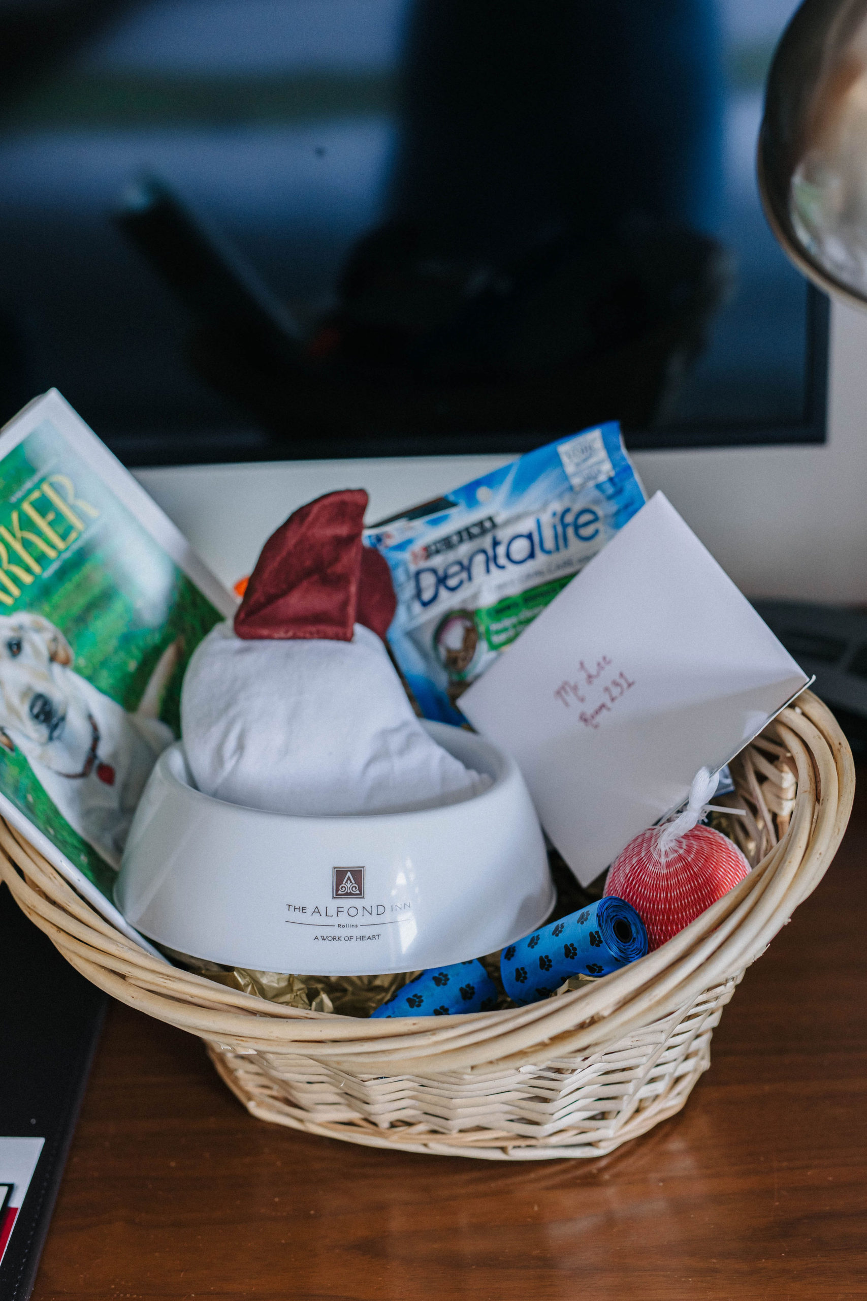 The Alfond Inn Dog Friendly Hotel Winter Park, Florida Sparkles and