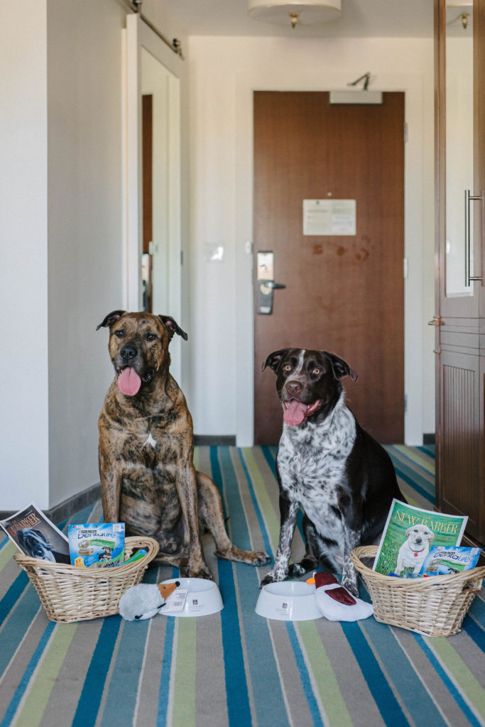 The Alfond Inn Dog Friendly Hotel Winter Park, Florida