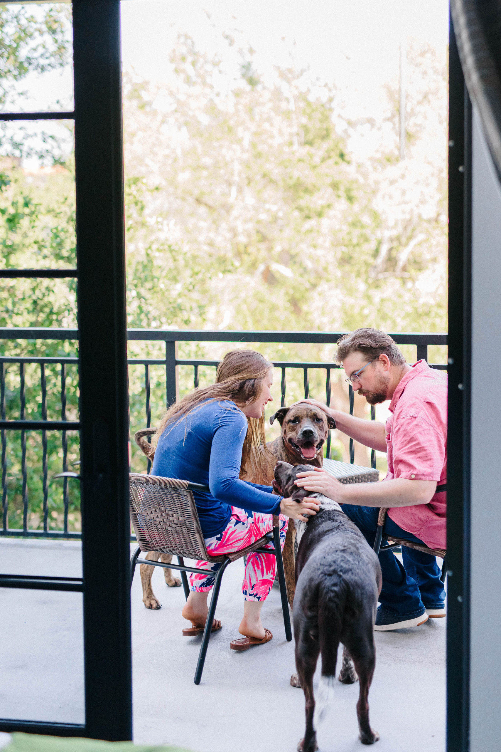 The Alfond Inn Dog Friendly Hotel Winter Park, Florida Sparkles and