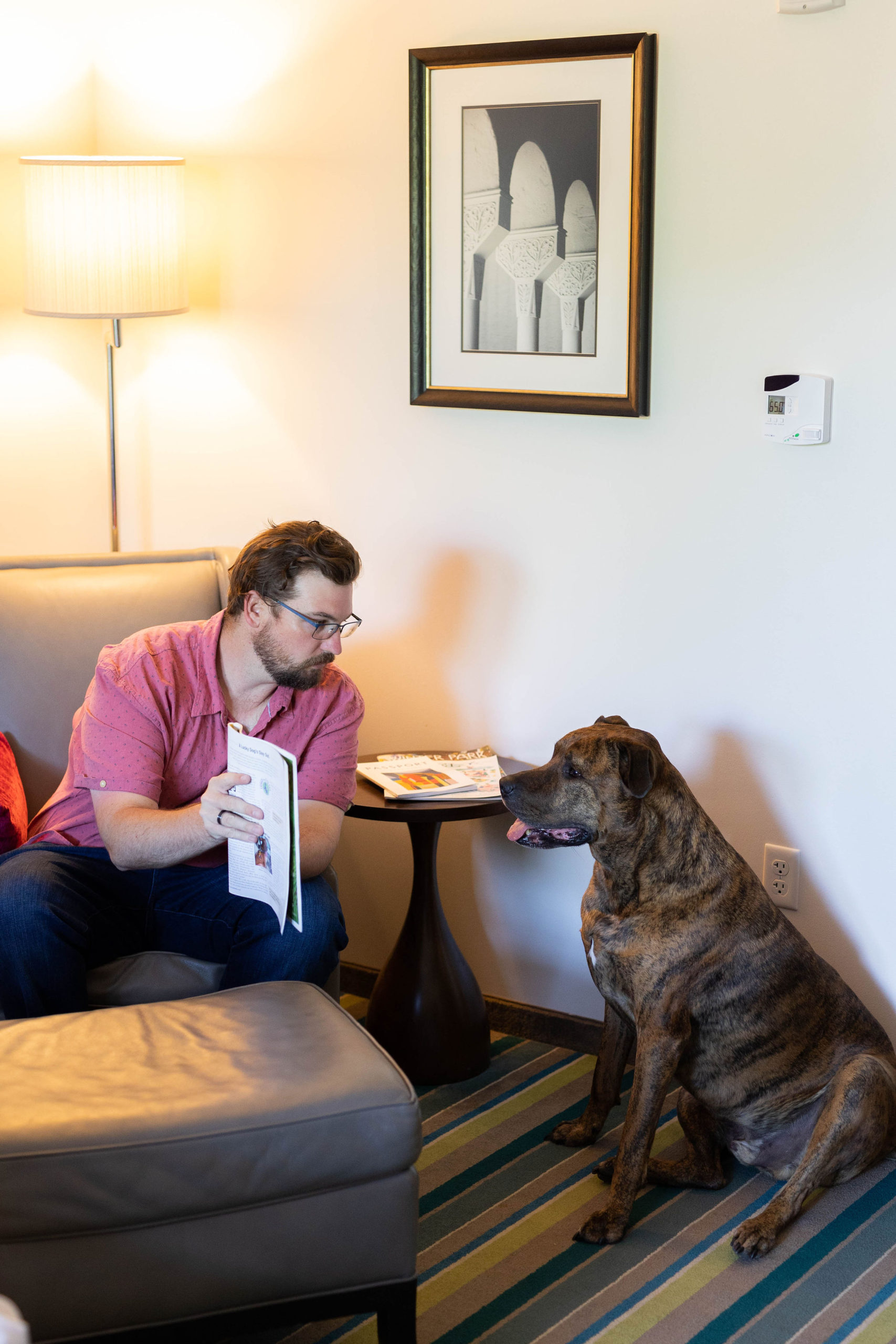 The Alfond Inn Dog Friendly Hotel Winter Park, Florida Sparkles and