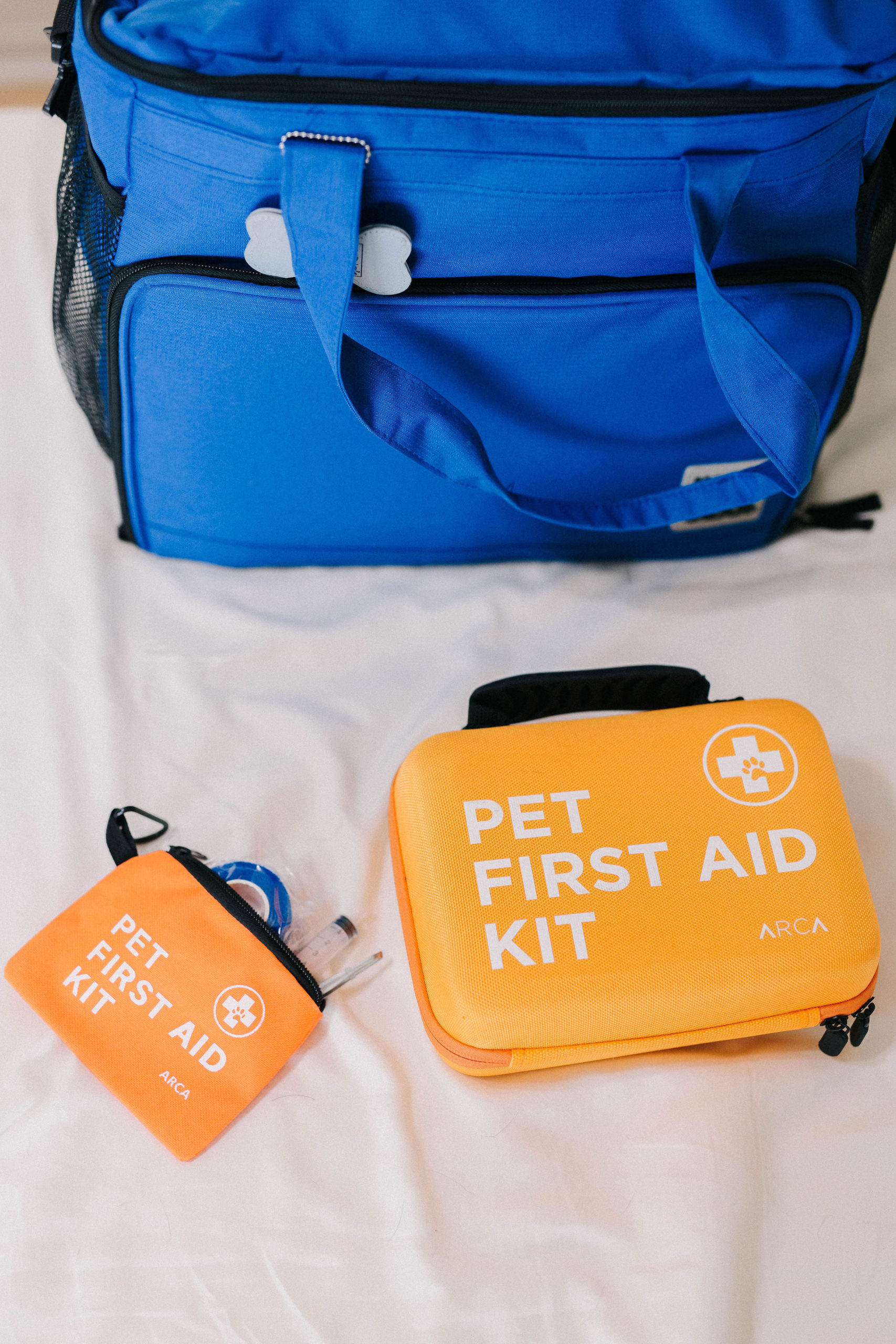 Dog Packing List: What To Pack For An Overnight Stay With Your Dog