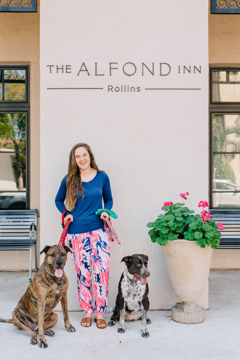 The Alfond Inn Dog Friendly Hotel Winter Park, Florida