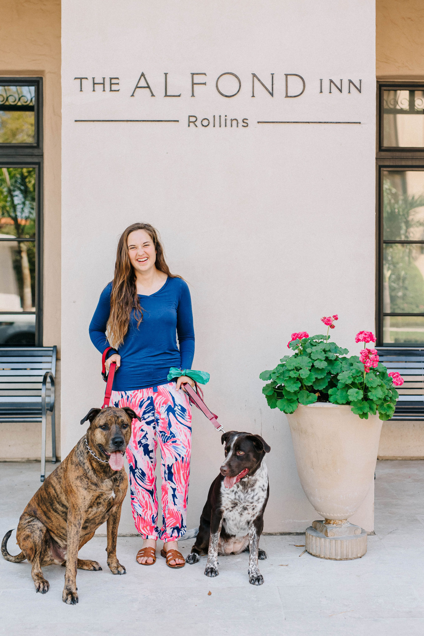 The Alfond Inn Dog Friendly Hotel Winter Park, Florida Sparkles and
