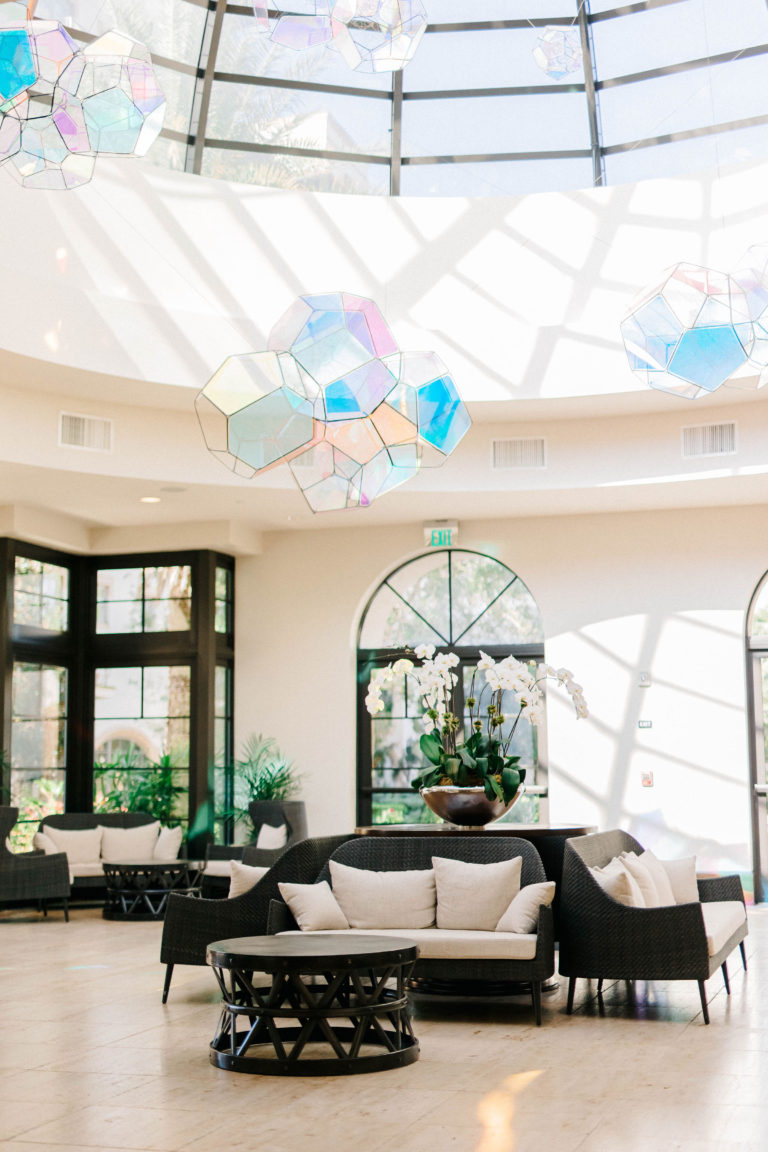 The Alfond Inn Dog Friendly Hotel Winter Park, Florida Sparkles and