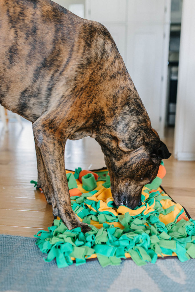 Sniffing rug Activity Matz Fast Food Fun - For dogs 