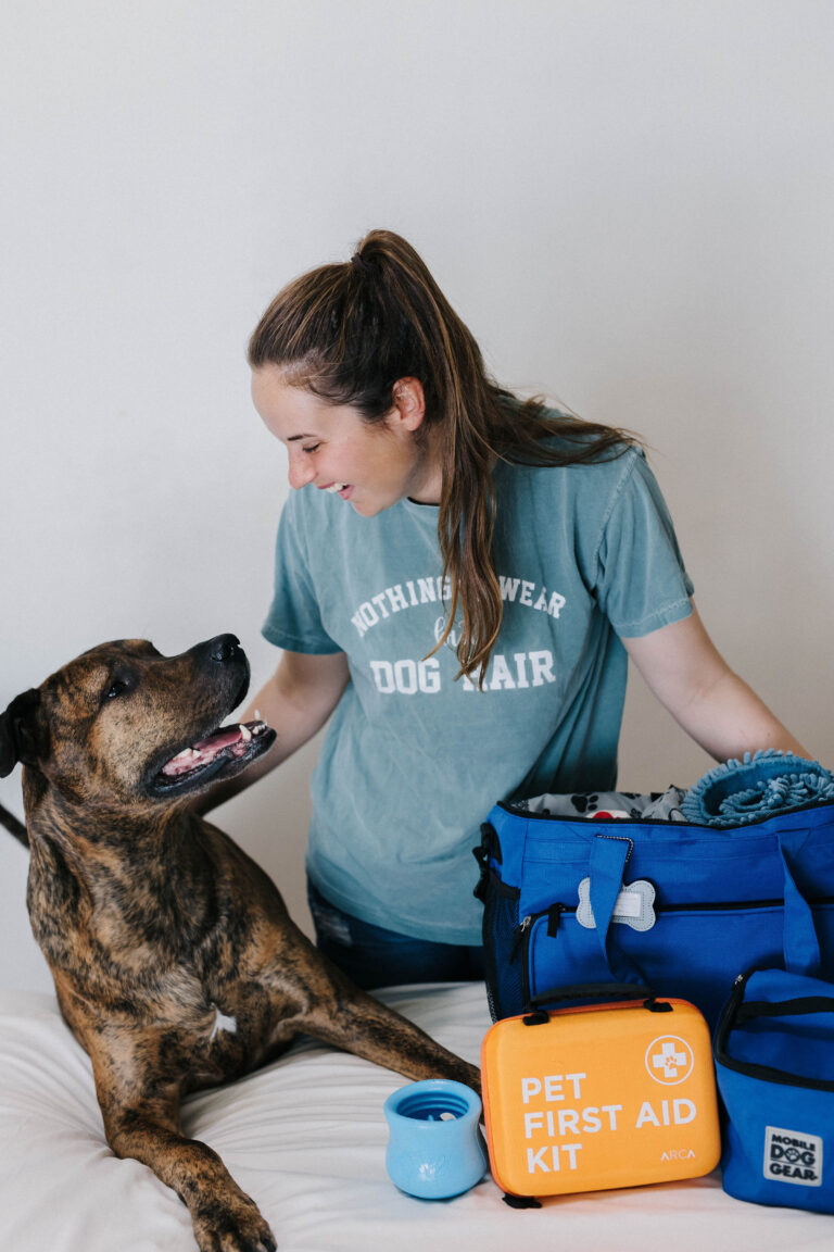 Dog Packing List: What To Pack For An Overnight Stay With Your Dog