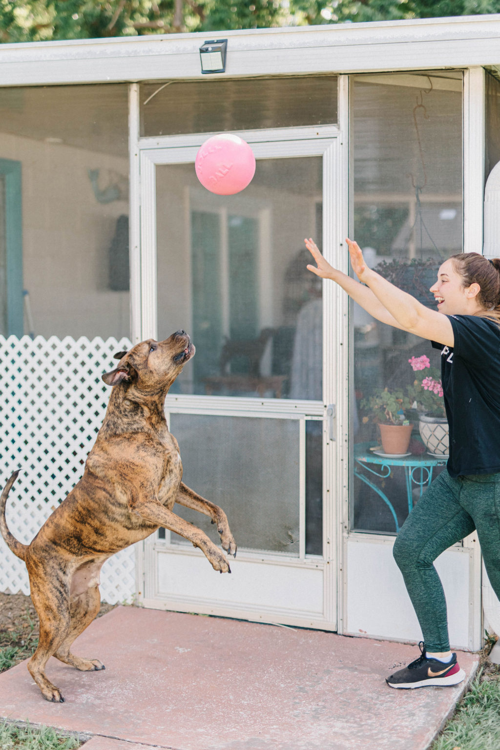 Jolly Pets Outside Active Dog Toys