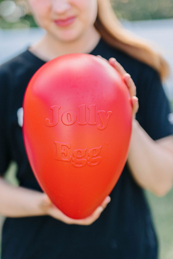 Jolly pets jolly egg for dogs active dog toy sparkles and sunshine blog