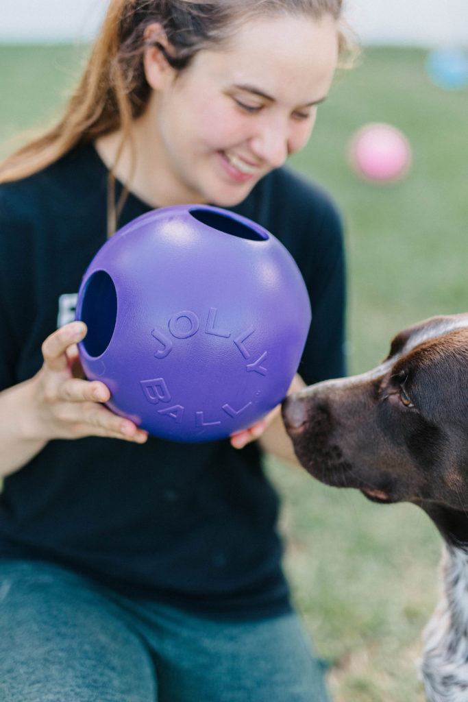 Jolly pets teaser ball mentally stimulating dog toys sparkles and sunshine blog
