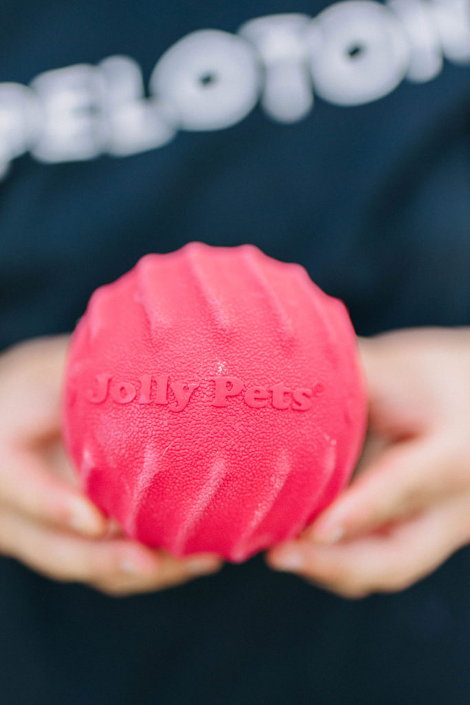 Jolly pets jolly tuff tosser dog balls for aggressive chewers sparkles and sunshine blog