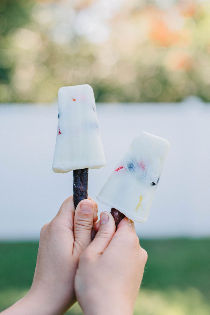 strawberry blueberry frozen yogurt dog treats sparkles and sunshine blog