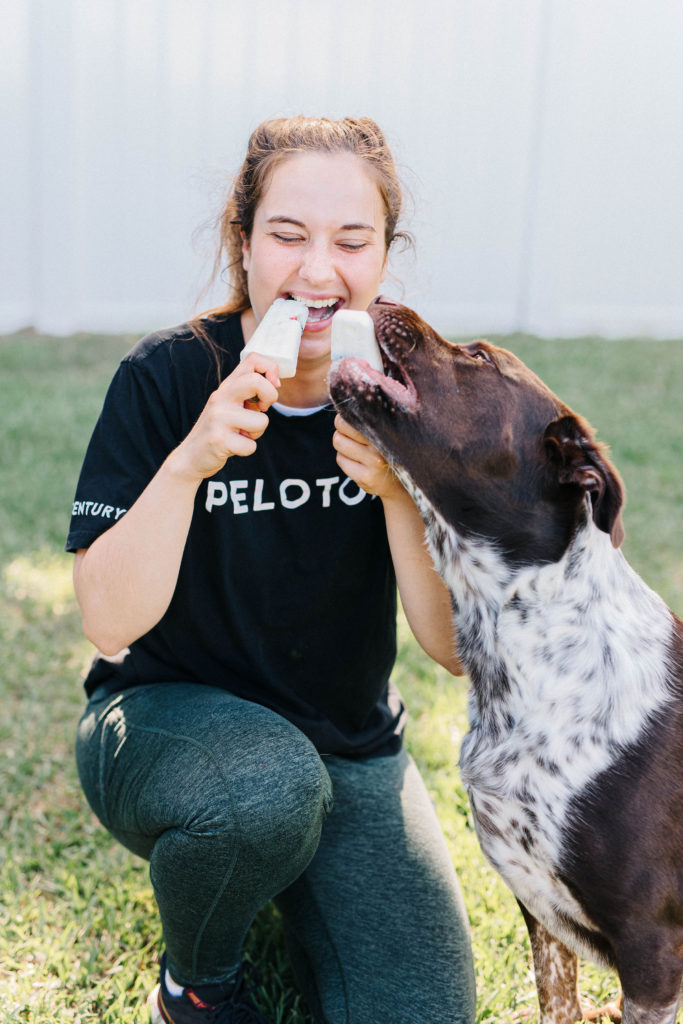 homemade dog popsicle recipe yogurt dog treats sparkles and sunshine blog
