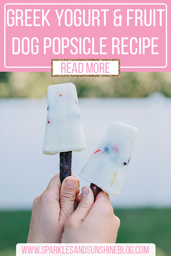 frozen greek yogurt and fruit dog popsicle recipe sparkles and sunshine blog