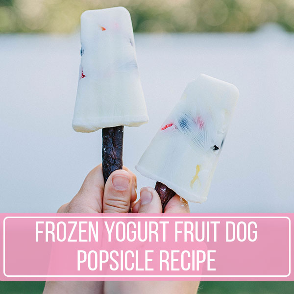 Frozen Yogurt Fruit Dog Popsicle Recipe