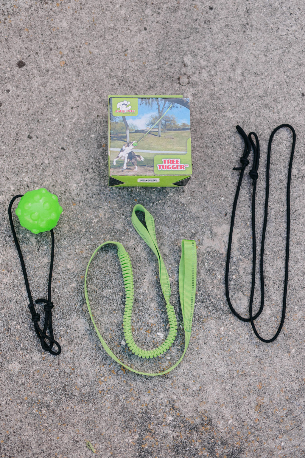 Jolly Pets Tree Tugger Outdoor Dog Toy Review