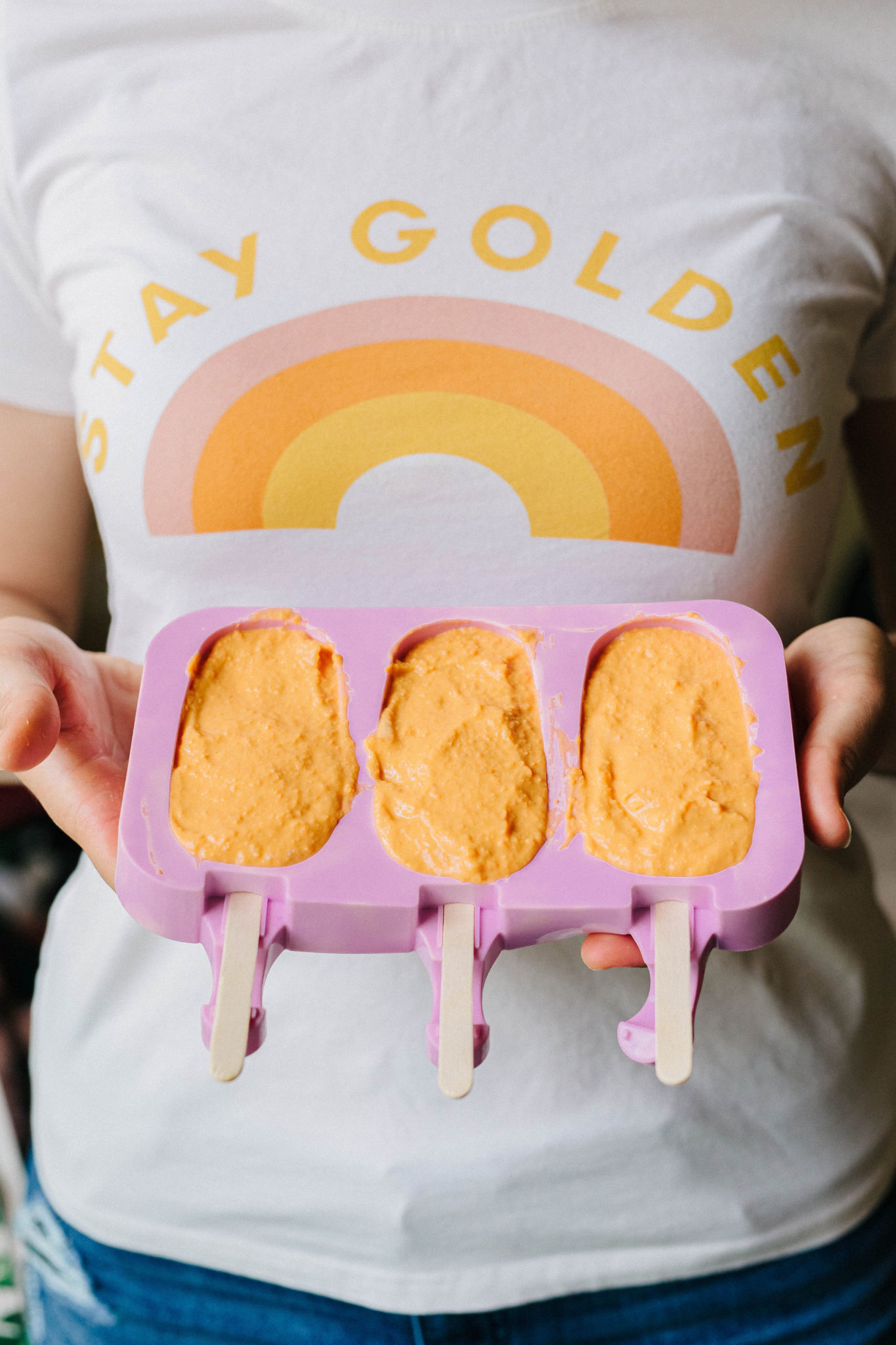 Creamsicle Dog Popsicle Frozen Carrot, Pumpkin & Yogurt Dog Treat