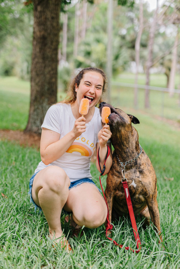 3 ingredient pumpkin carrot yogurt dog treats sparkles and sunshine blog