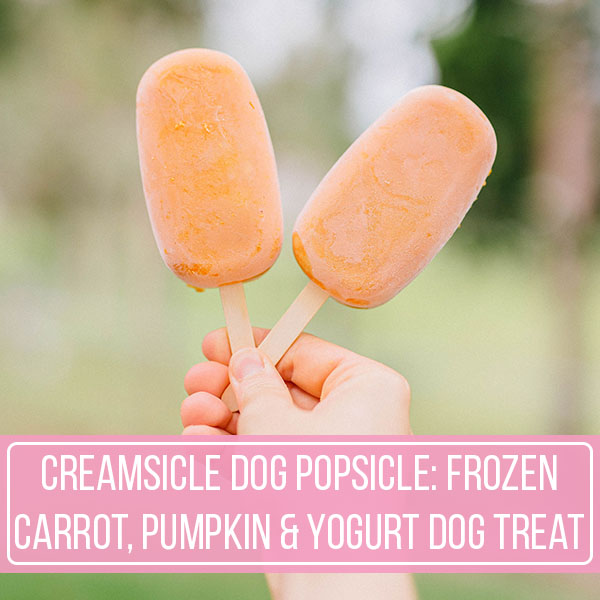 Creamsicle Dog Popsicle: Frozen Carrot, Pumpkin & Yogurt Dog Treat
