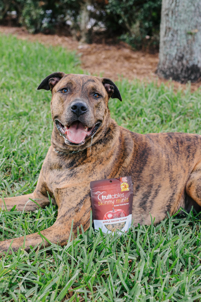 extra large brindle dog with Fruitables skinny minis dog treats apple bacon flavor soft treats for dogs sparkles and sunshine blog