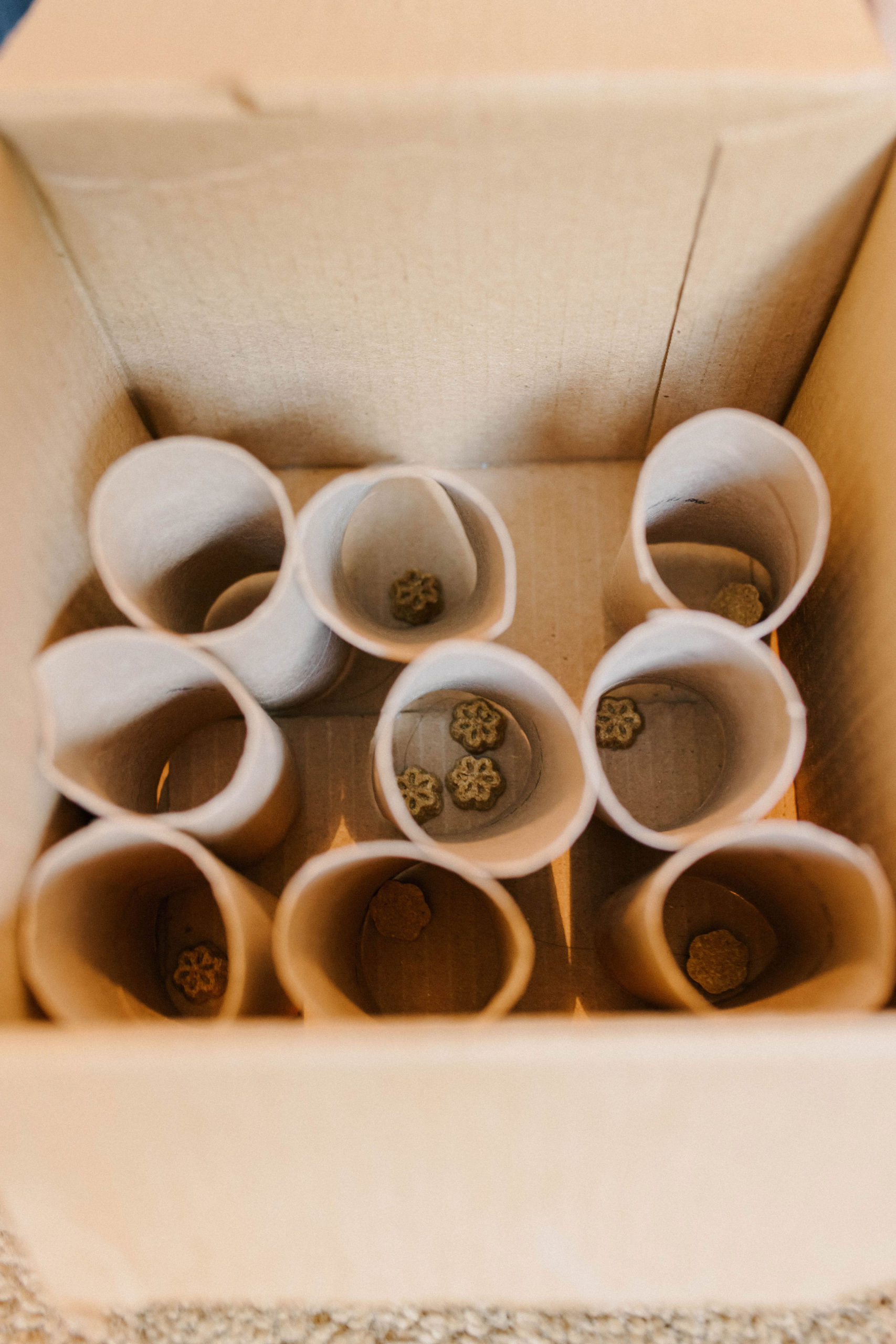 3 DIY Puzzle Toys For Dogs