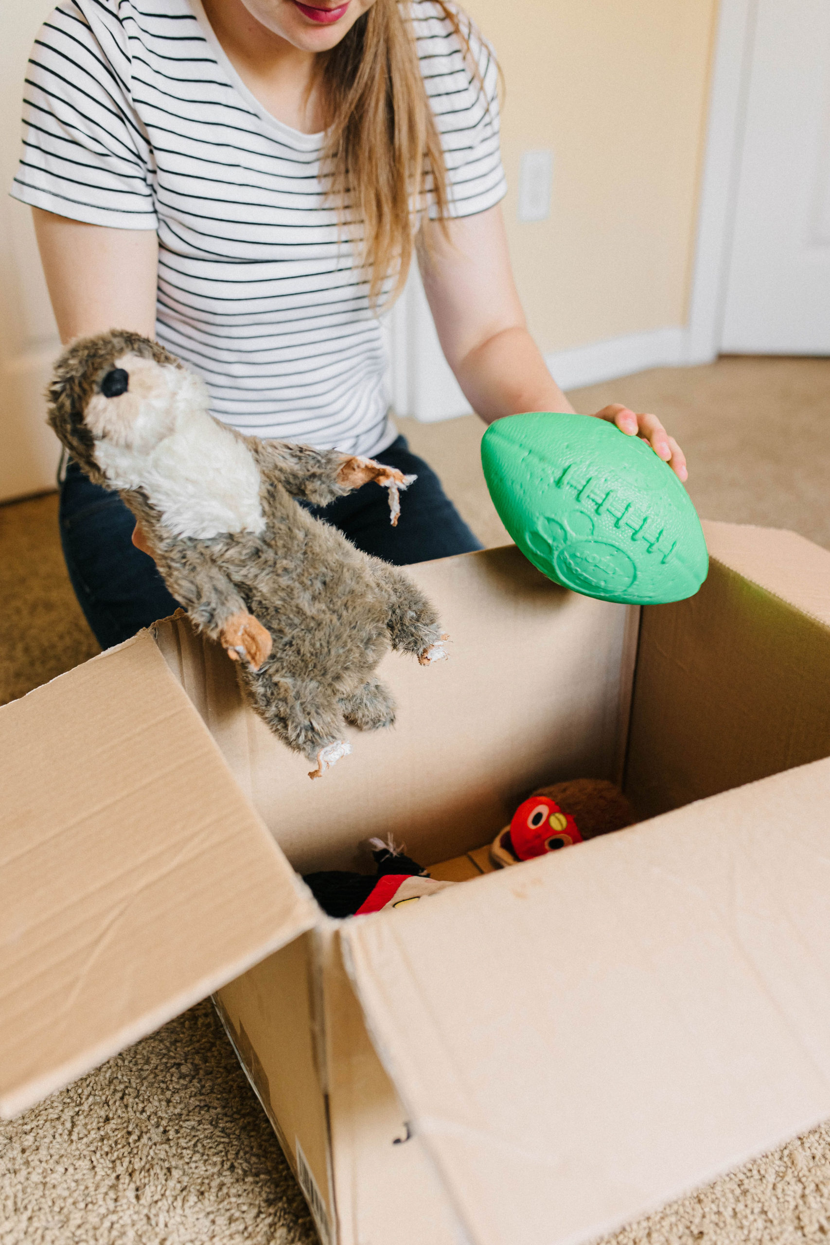 3 DIY Puzzle Toys For Dogs