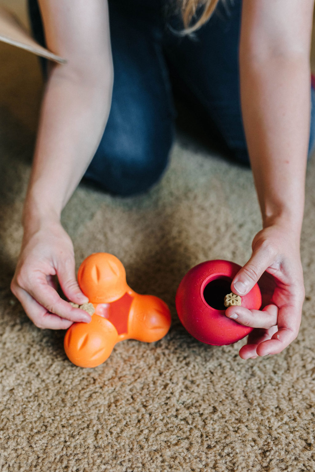 3 DIY Puzzle Toys For Dogs