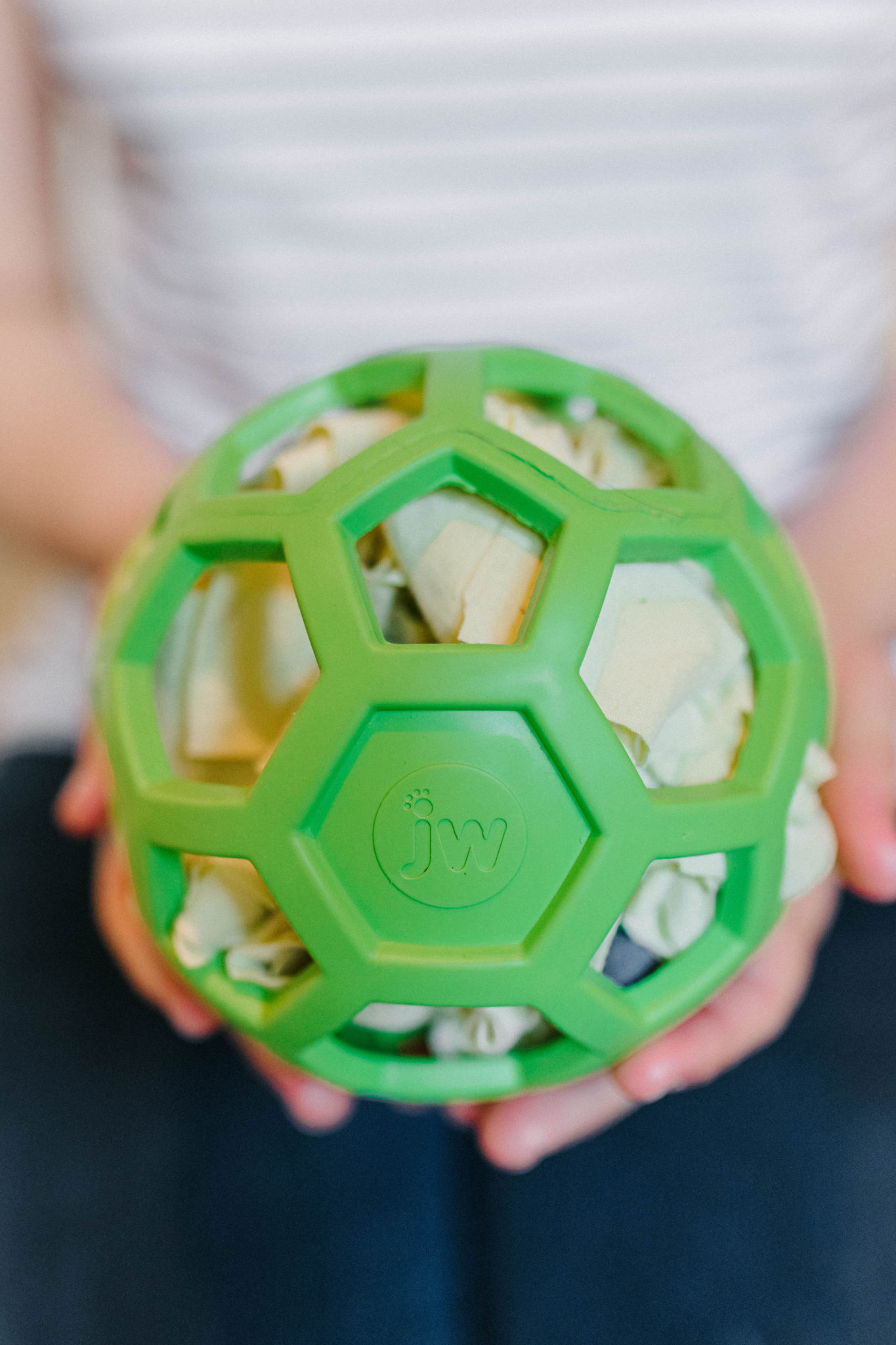 DIY Snuffle Mat Ball JW HOLEE Roller Ball Dog Toy Idea