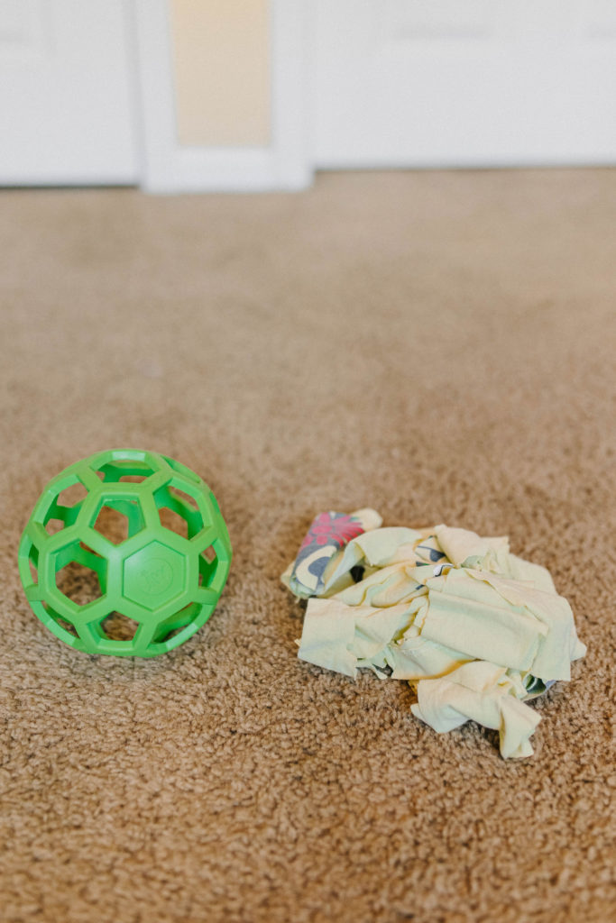Hol-EE Roller Dog Toy: 10 Ways To Play, DIY Dog Toy, Dog Ball, Hol-EE  Roller Dog Toy: 10 Ways To Play, DIY Dog…