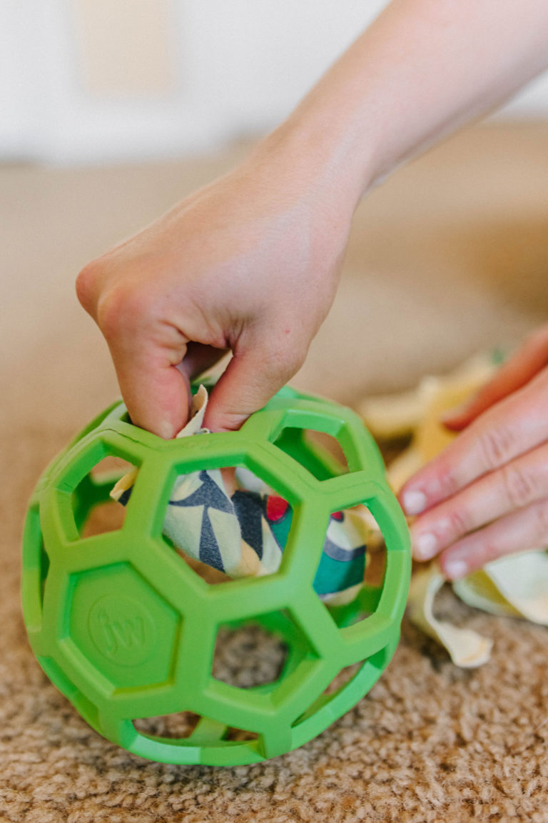 DIY Snuffle Mat Ball: JW HOLEE Roller Ball Dog Toy Idea