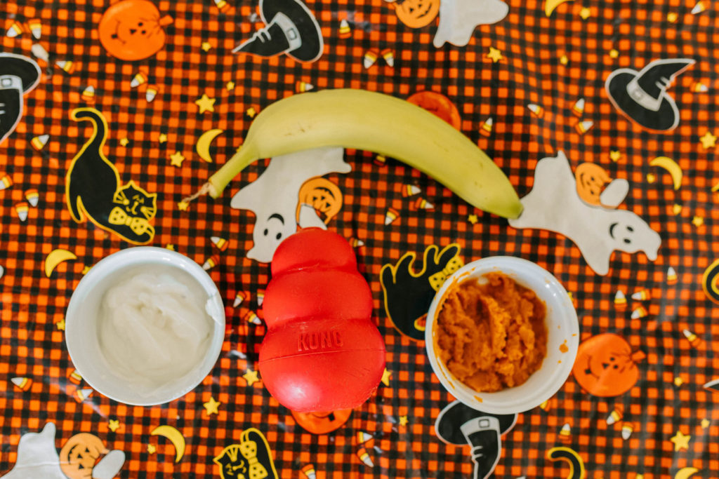 Kong + Pumpkin Recipes - Nummy Tum Tum