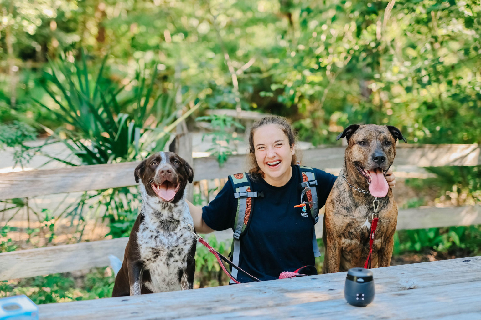 Thermacell E55 Dog Friendly Mosquito Repellent Best Mosquito