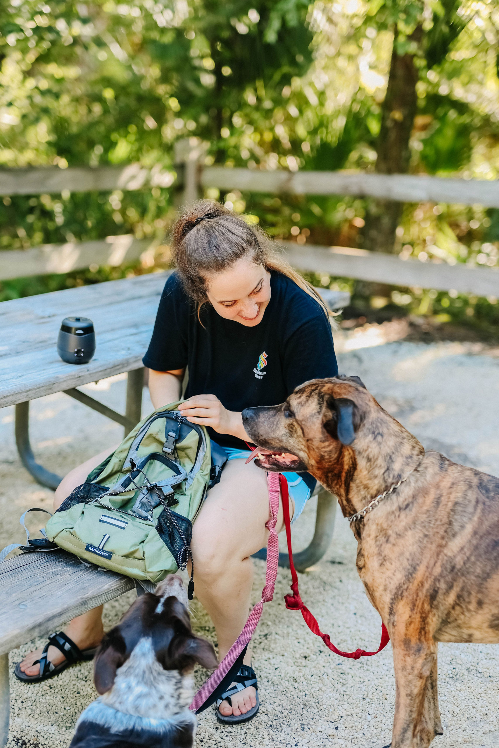 Thermacell E55 Dog Friendly Mosquito Repellent Best Mosquito