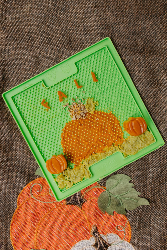 lickimat soother recipe fall pumpkin dog treat sparkles and sunshine blog