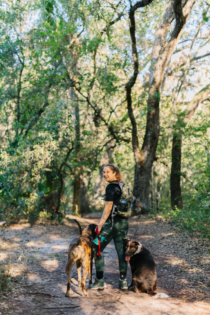 how to prepare for a dog friendly hike in florida sparkles and sunshine blog