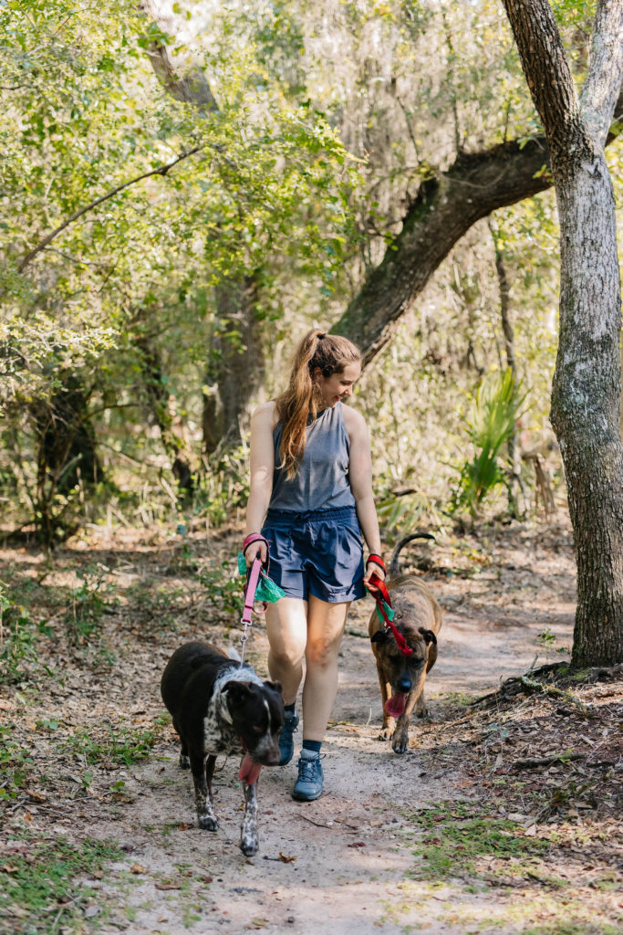 dog friendly florida walking trails lake griffin state park florida sparkles and sunshine blog