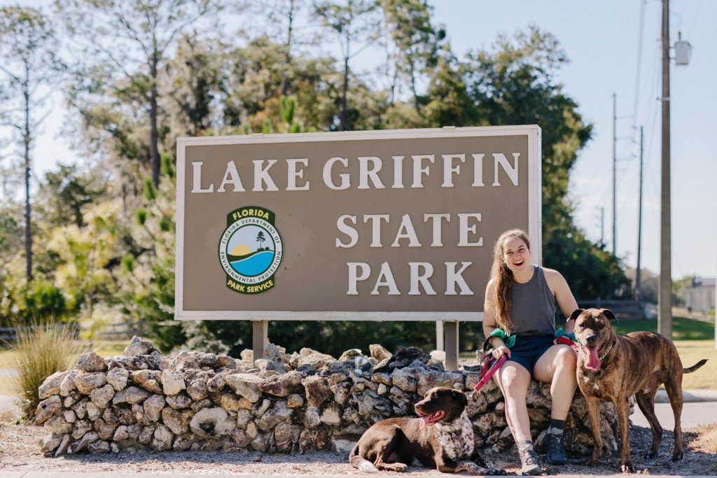 dog friendly state parks florida lake griffin state park sparkles and sunshine blog