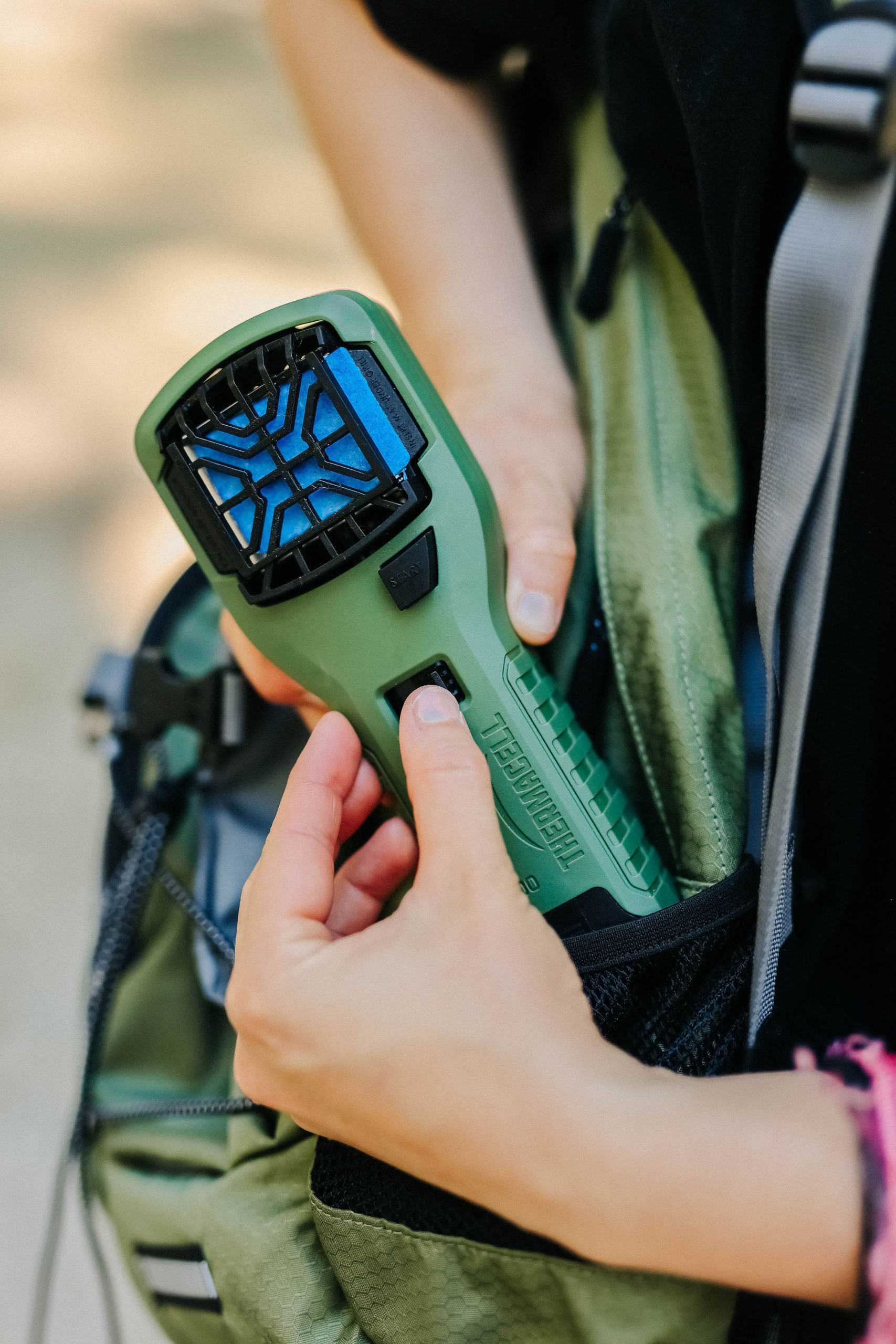 How To Prepare For A DogFriendly Hike In Florida