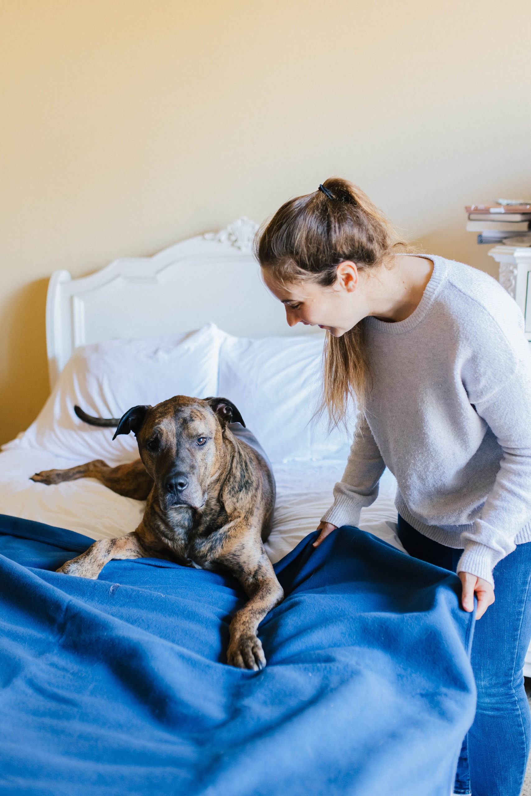 Fellow Living Waterproof Pet Blanket Review Sparkles and Sunshine Blog