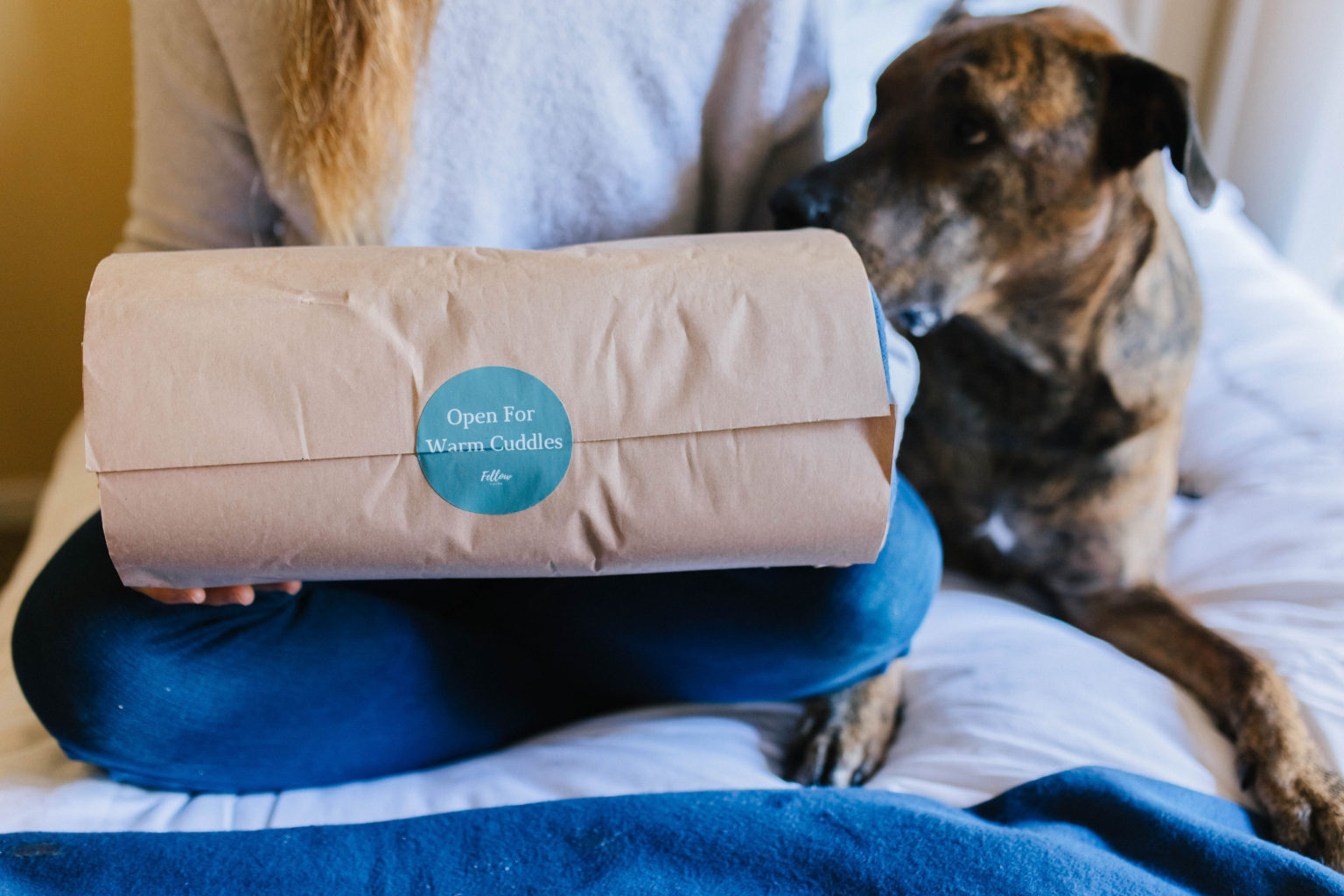 Fellow Living Waterproof Pet Blanket Review Sparkles and Sunshine Blog