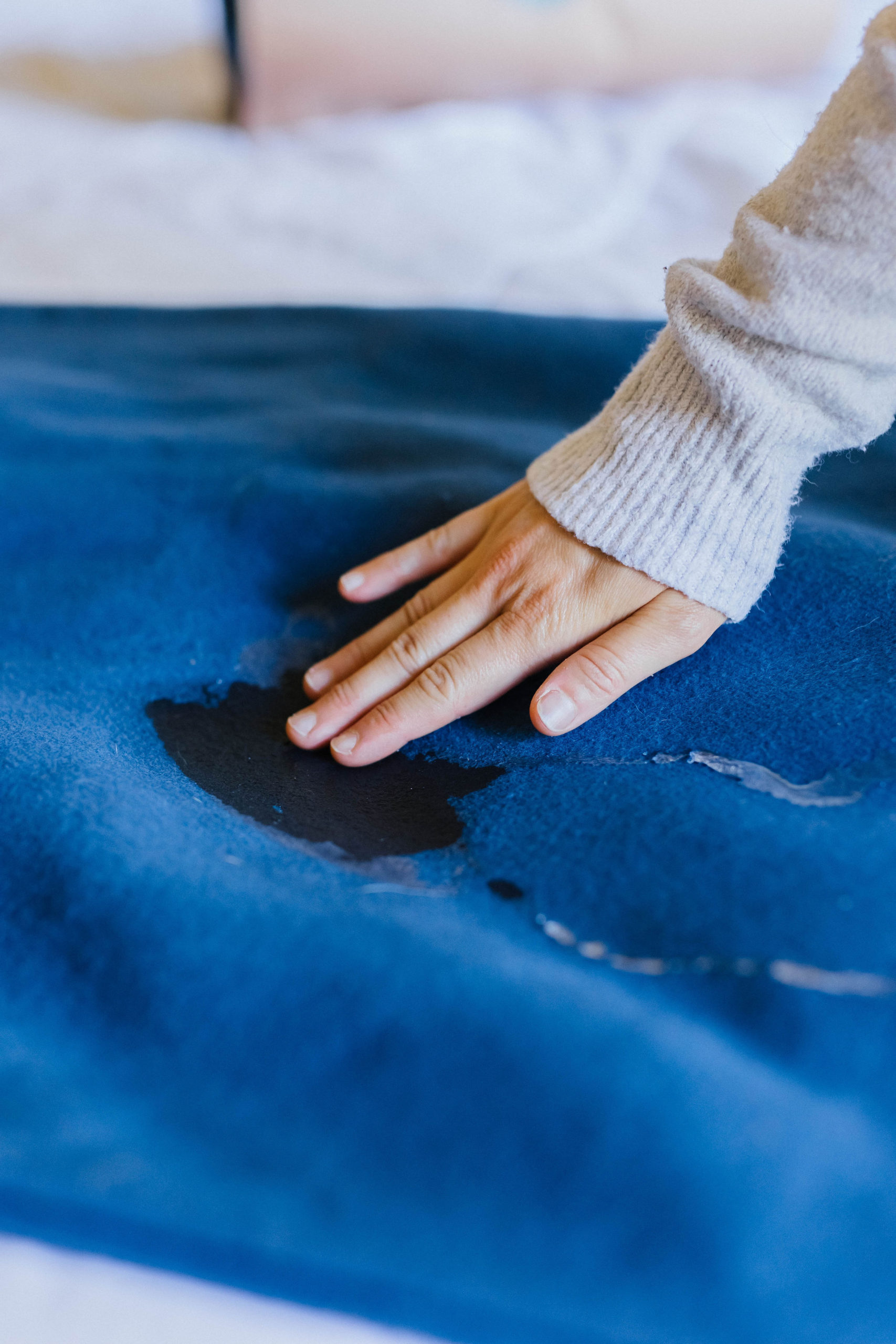 Fellow Living Waterproof Pet Blanket Review Sparkles and Sunshine Blog