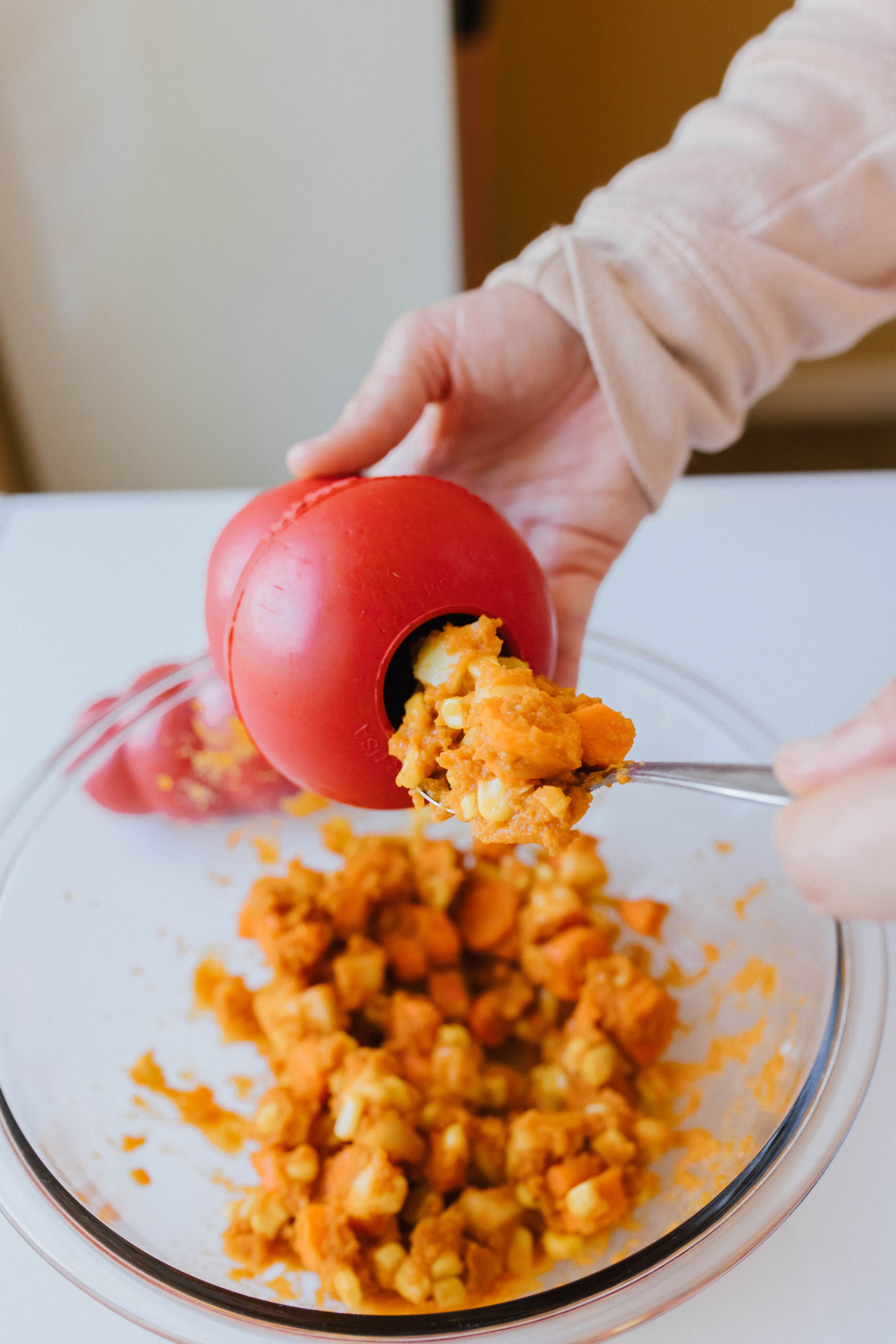 Thanksgiving Dog Treat Kongucopia KONG Filling Idea Sparkles and