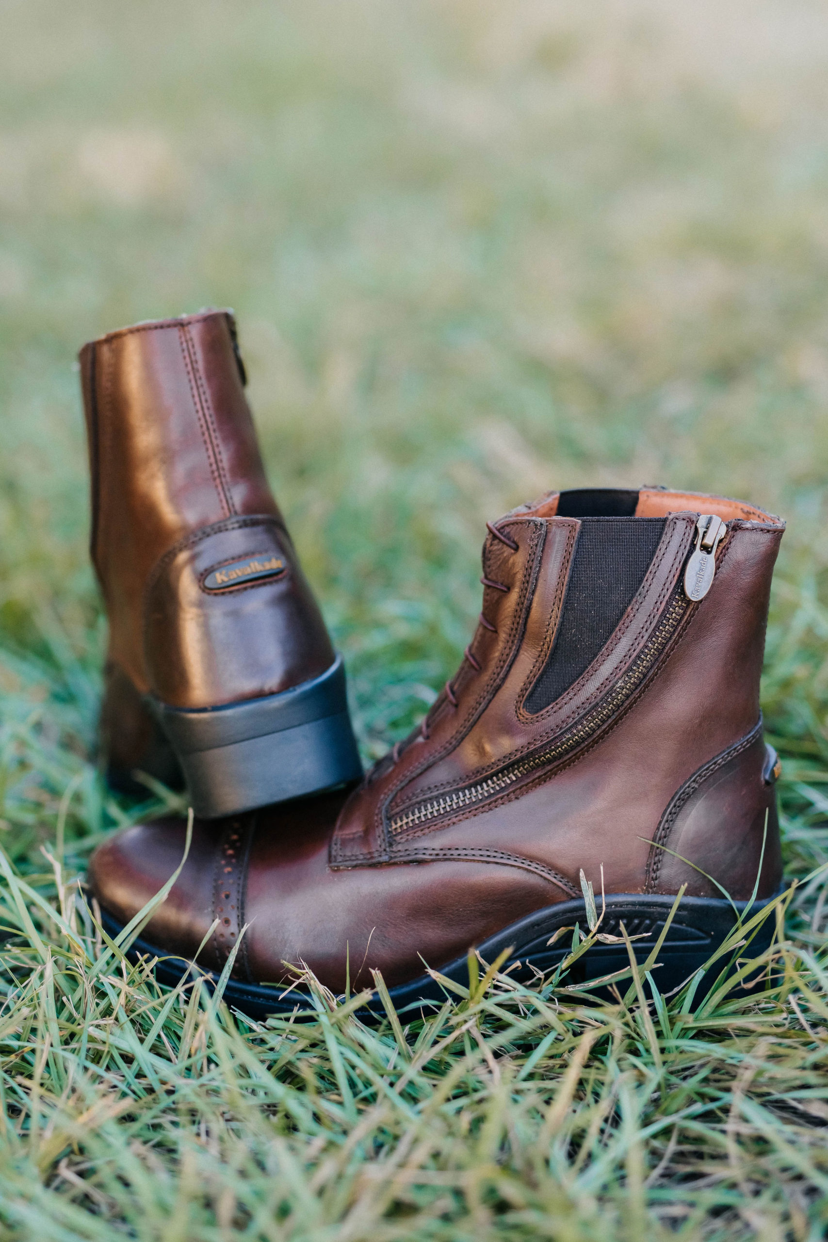 comfortable paddock boots