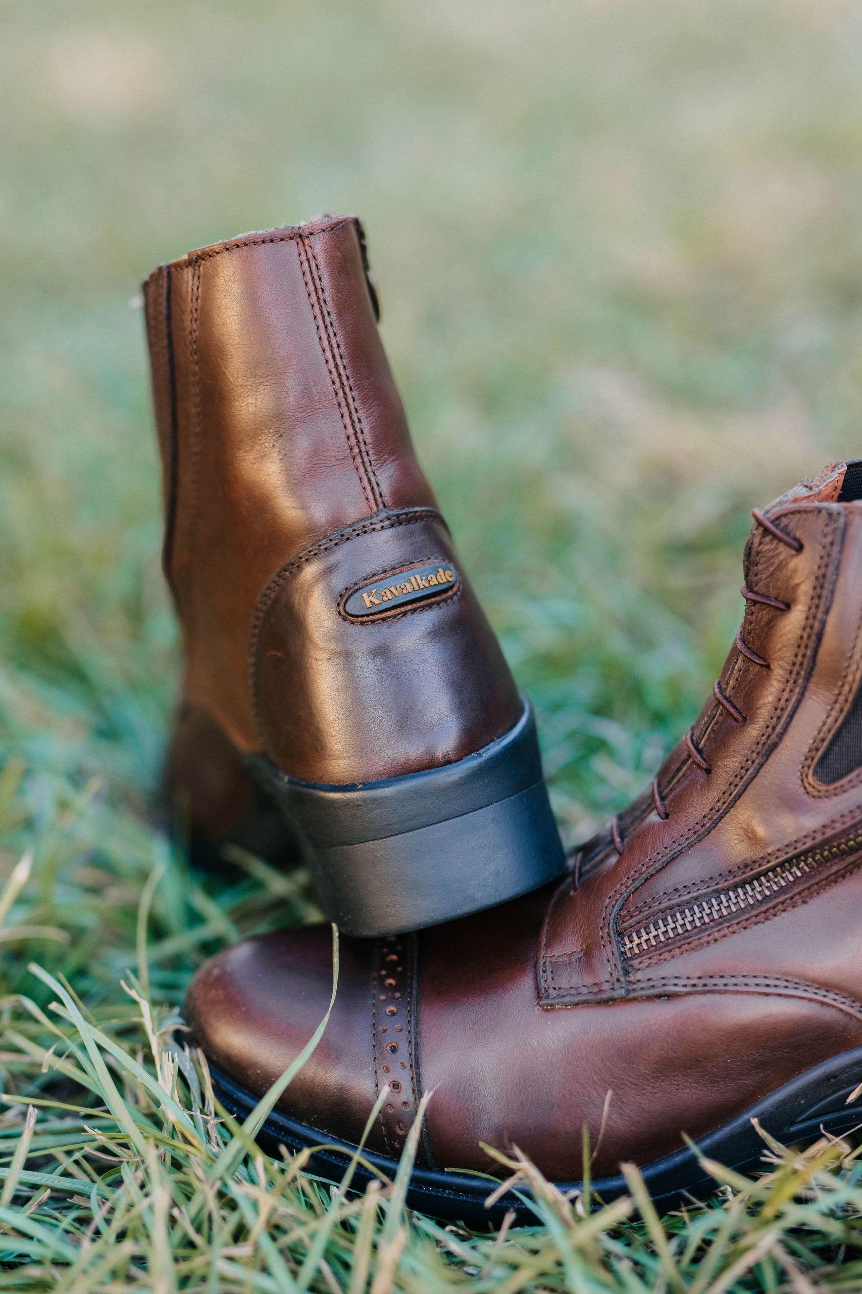 comfortable paddock boots