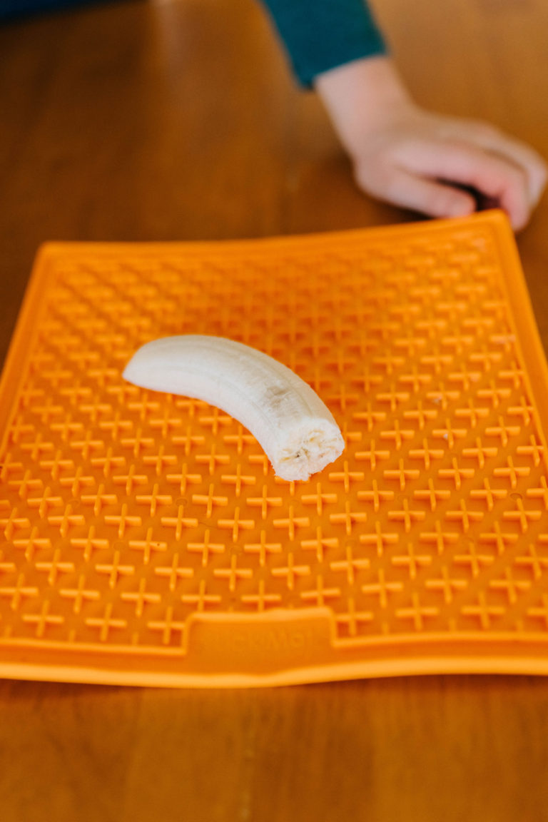 3 Easy Dog Lick Mat Ideas