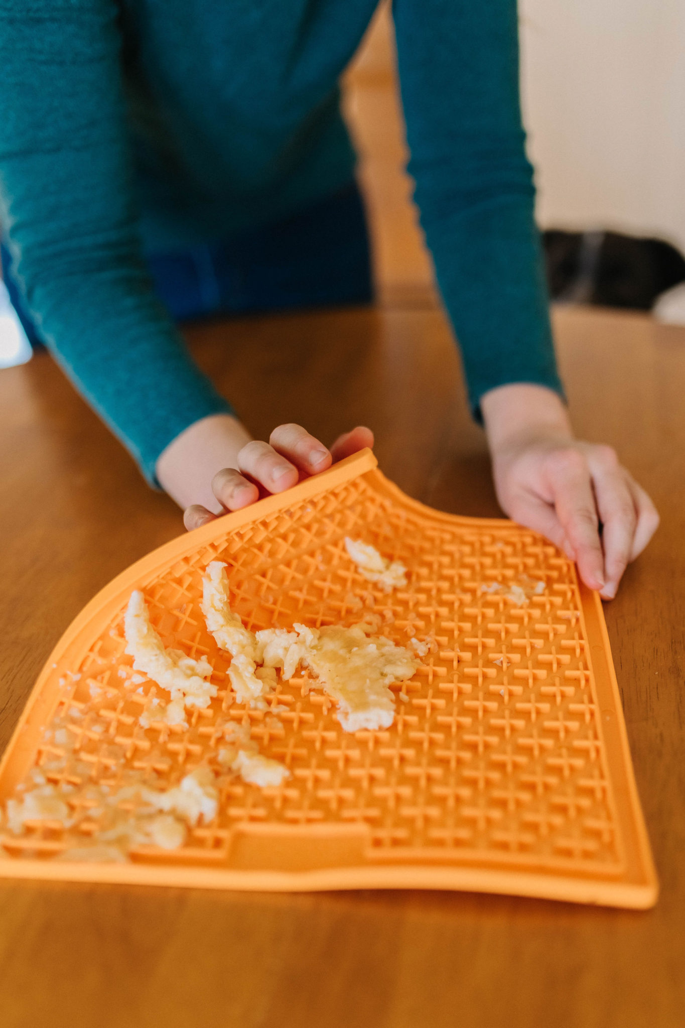 3 Easy Dog Lick Mat Ideas