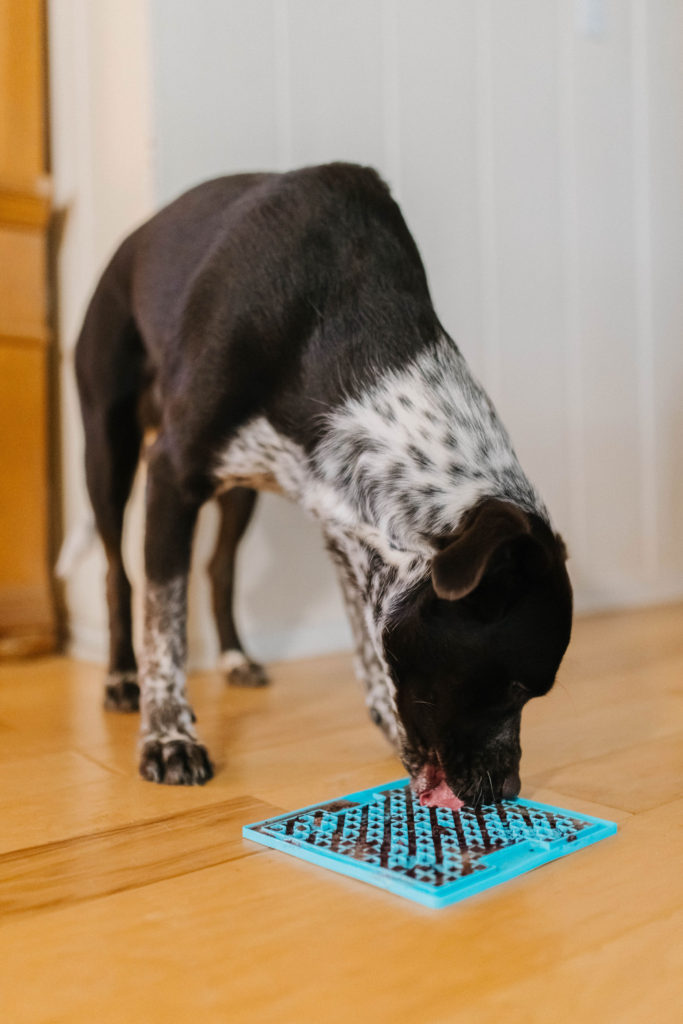 Silicone Pet Lick Mat Pad - ACES2139 - IdeaStage Promotional Products