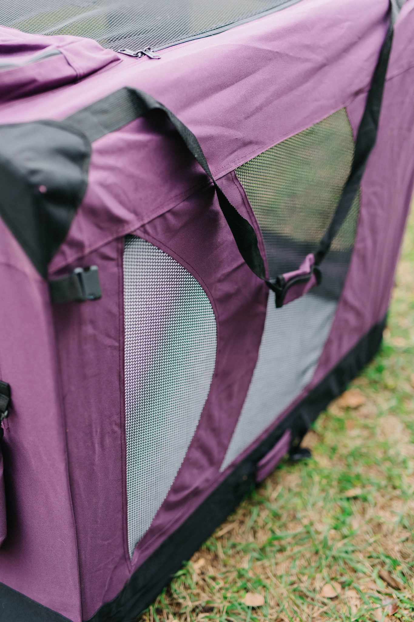 Best Soft Collapsible Dog Crates EliteField Soft Dog Crate Review