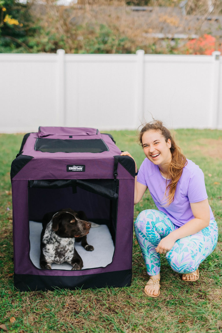 Best Soft Collapsible Dog Crates: EliteField Soft Dog Crate Review