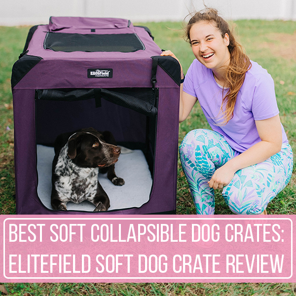 what is the best soft crate for dogs